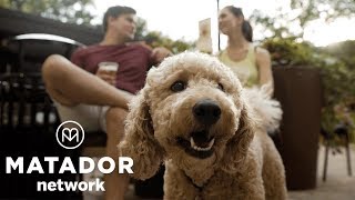 Go On a Local’s Experience Exploring Greenville, SC