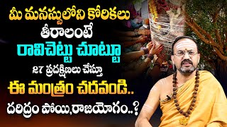 Importance Of Ravi Chettu | Ravi Chettu Pooja & Mantram | Nandhibatla Srihari Sharma | TSW