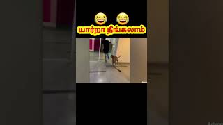 😂😂இருந்தாலும் உனக்கு இவ்வளவு ஆகாது  #animal #funnyanimals #comedyanimals #trending #shorts