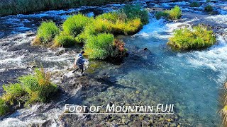 TROUT fishing | Katsuragawa River flowing at the foot of Mt. Fuji