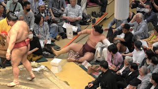 錦富士が美女と激突‼ 朝乃山11勝目 横綱照ノ富士が復活優勝 大相撲 五月場所 14日目  2023 May Grand SUMO TOURNAMENT 14th Day.