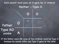 Punnett Square to determine possible blood types