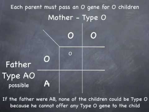 Punnett Square to determine possible blood types Punnett Square to determine possible blood types