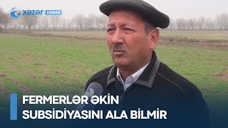 Fermerlər əkin subsidiyasını ala bilmir