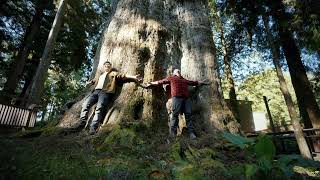 Taiwan: home to the world's largest intact cypress forests - Botanical Wonders Trailer