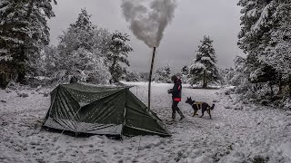 Теплая палатка в походе по снегу с моей собакой | Морозная зима, снег, дровяная