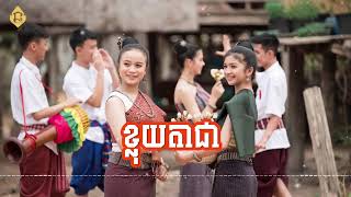 ខ្លុយតាជា | ពពេចសស្លាប