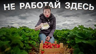 Как ДУРЯТ русских в Норвегии и Евросоюзе? ЭТО УЖАС…