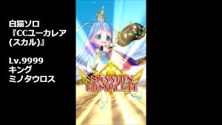 【白猫ソロ】 CCユーカレア(スカル) Lv.9999 キングミノタウロス