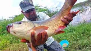 Badi Machli Ko Kaise Pakde |बड़ी बड़ी मछलियां कैसे पकड़ते हैं |Fish Catching Videos|Fishing Vlogger