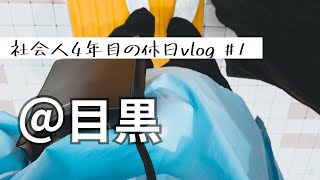 【社会人カップルの休日デート】庭園美術館→和食ビストロ