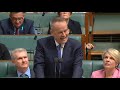 House Question Time 13 February 2019