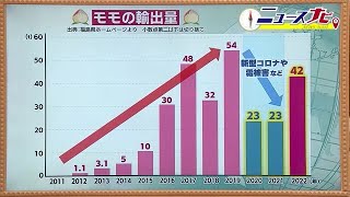 福島県産モモ　輸出量増加　コロナで一時減少も回復傾向　タイでトップセールスへ　 (23/08/08 18:30)