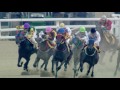 tips for betting on korean racing