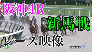 10/16 阪神4R 新馬戦 レース映像