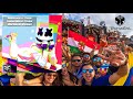 Wonderwall vs Purple Lamborghini vs Tremor (Marshmello Mashup)