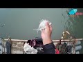 20190114 浮標 流速慢水濁效果......