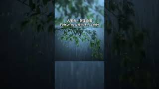 你有多久没听到雨水拍打地面的声音了 #雨声助眠 #助眠直播间 #下雨天