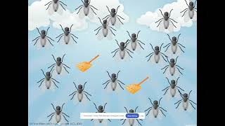Systems of Equations Fly Swatter Bingo PREVIEW