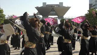 学生よさこいチームおどりんちゅ＠2019❜　ドリーム夜さ来い祭り　石と光の広場会場（パナソニックセンター東京前））