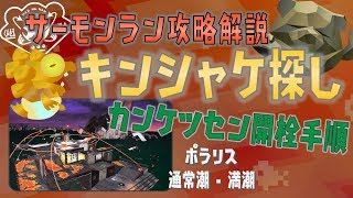 【サーモンラーン】キンシャケ探し・間欠泉解説《ポラリス/通常潮・満潮：カンケツセン》【サーモンラン攻略解説】