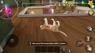 Scary Teacher 3D Version 5.4.1 | Nick Saves The Cat Again