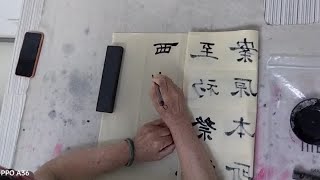 B站练字打卡第264天，日常练习隶书临摹【华山庙碑】若干字，刘姥姥学习书法五年啦！