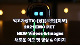 먹고자장TV-[장][로봇][이모] 2021 EMO PET   NEW Videos \u0026 Images  새로운 이모 펫 영상 \u0026 이미지