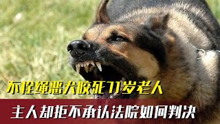 不栓绳恶犬咬死71岁老人，狗主人却拒不承认，法院最终会如何判决