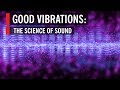 Good Vibrations: The Science of Sound