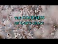 GOODNESS OF GRACE ( The Cordillera Songbirds - Life Breakthrough) Lyric Video