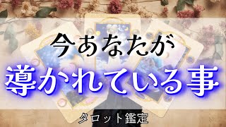 【次の章へ突入】今あなたが導かれている事🌱タロット鑑定