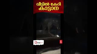 മാനന്തവാടി അരണപ്പാറയില്‍ കാട്ടാനയുടെ ആക്രമണം | Mananthavady