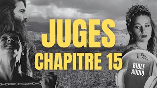 JUGES 15 | LA BIBLE AUDIO avec textes