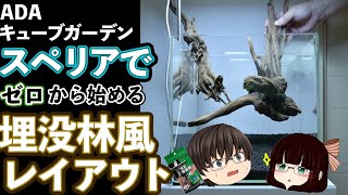 【アクアリウム】ADA キューブガーデン・スペリアで、ゼロから流木レイアウト水槽立ち上げをゆっくり解説