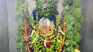 శ్రీ శాకాంబరీ దేవి పూజ,Sri Shakambari Devi Pooja