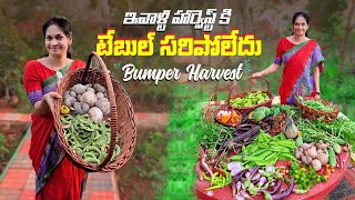 Bumper Harvest /ఇవాళ చాలా అరుదైన కూరగాయలు కోసాము @MADGARDENER