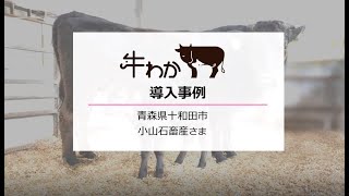 牛わか導入事例－小山石畜産様