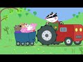 cochons d inde peppa pig français episodes complets