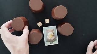 How to setup play Cheese Thief review social deduction introduction kids bluff dice games AmassGames