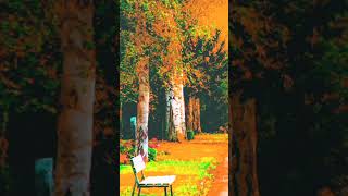MUSIC FOR MEDITATION | CHILL MUSIC | RELAX MUSIC MIX ON THIS CHANNEL| CHILL OUT MUSIC #short, #chill