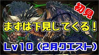 【2月クエスト】Lv10-ネルギガンテ～まずは下見！攻略はまた後日～【パズドラ実況】