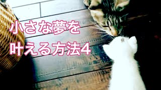 小さな夢を叶える方法4