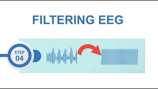 EEGLAB preprocessing #4: Filtering