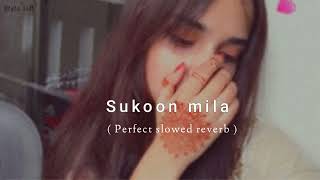 Sukoon mila -( slowed reverb Lofi) Arijit Singh || Bipin -Lofi || Relax mind
