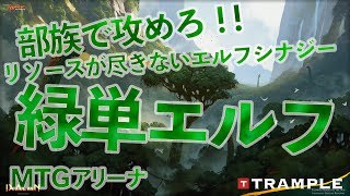 【MTGアリーナ】部族で攻めろ！！リソースの尽きないエルフデッキ！【緑単エルフ】