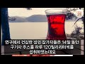 슈퍼푸드 구기자 알고 드시나요 효능 부작용 먹는 방법 구기자