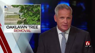 Oaklawn Cemetery Tree Removed To Continue Search For Race Massacre Victims