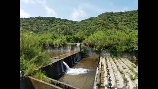 沖縄県国頭郡国頭村の比地大滝下流