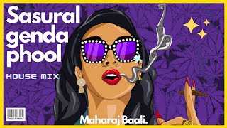 Sasural Genda Phool (Maharaj Baali House remix) || Abhishek Bachchan, Sonam Kapoor | A.R. Rahman